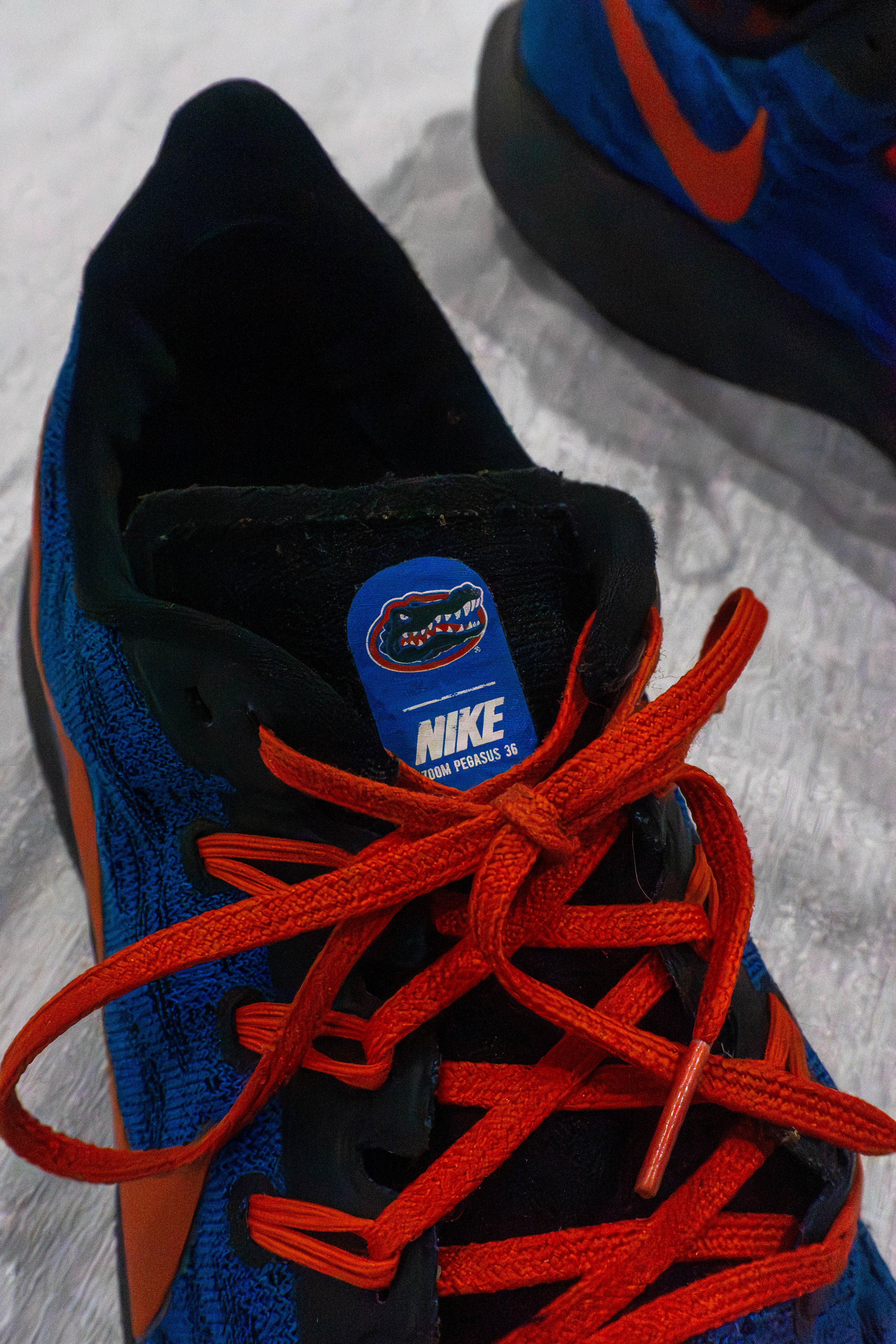 Nike Air Zoom Pegasus 36 Florida Gators | Men’s EU 44