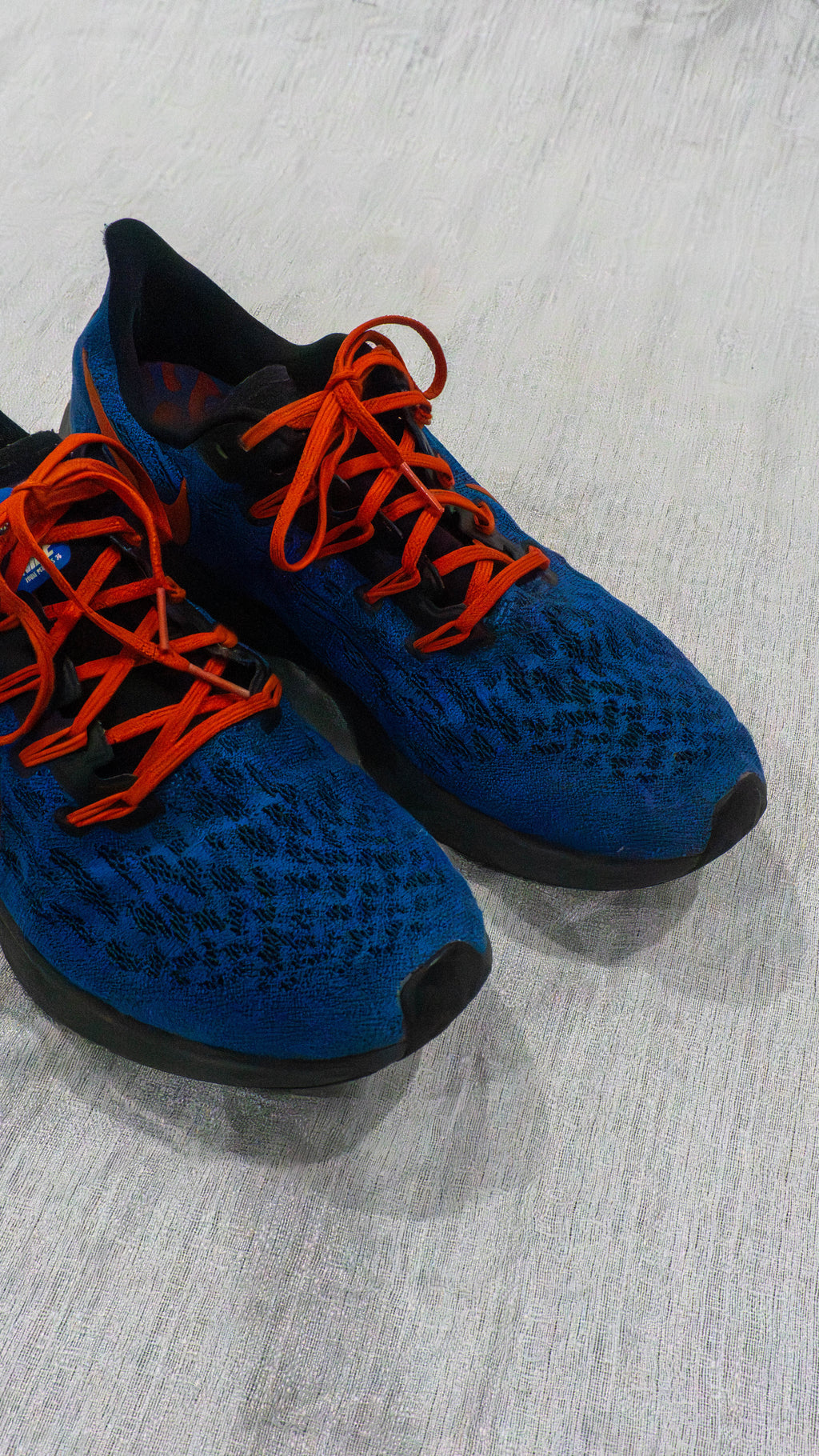 Nike Air Zoom Pegasus 36 Florida Gators | Men’s EU 44